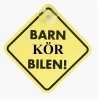 Barn kör bilen.jpg